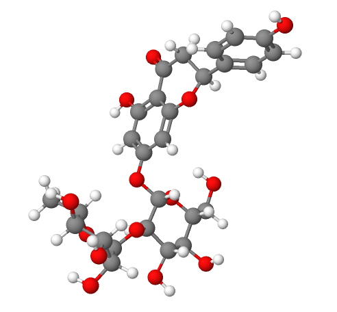 Molecular model of Naringin